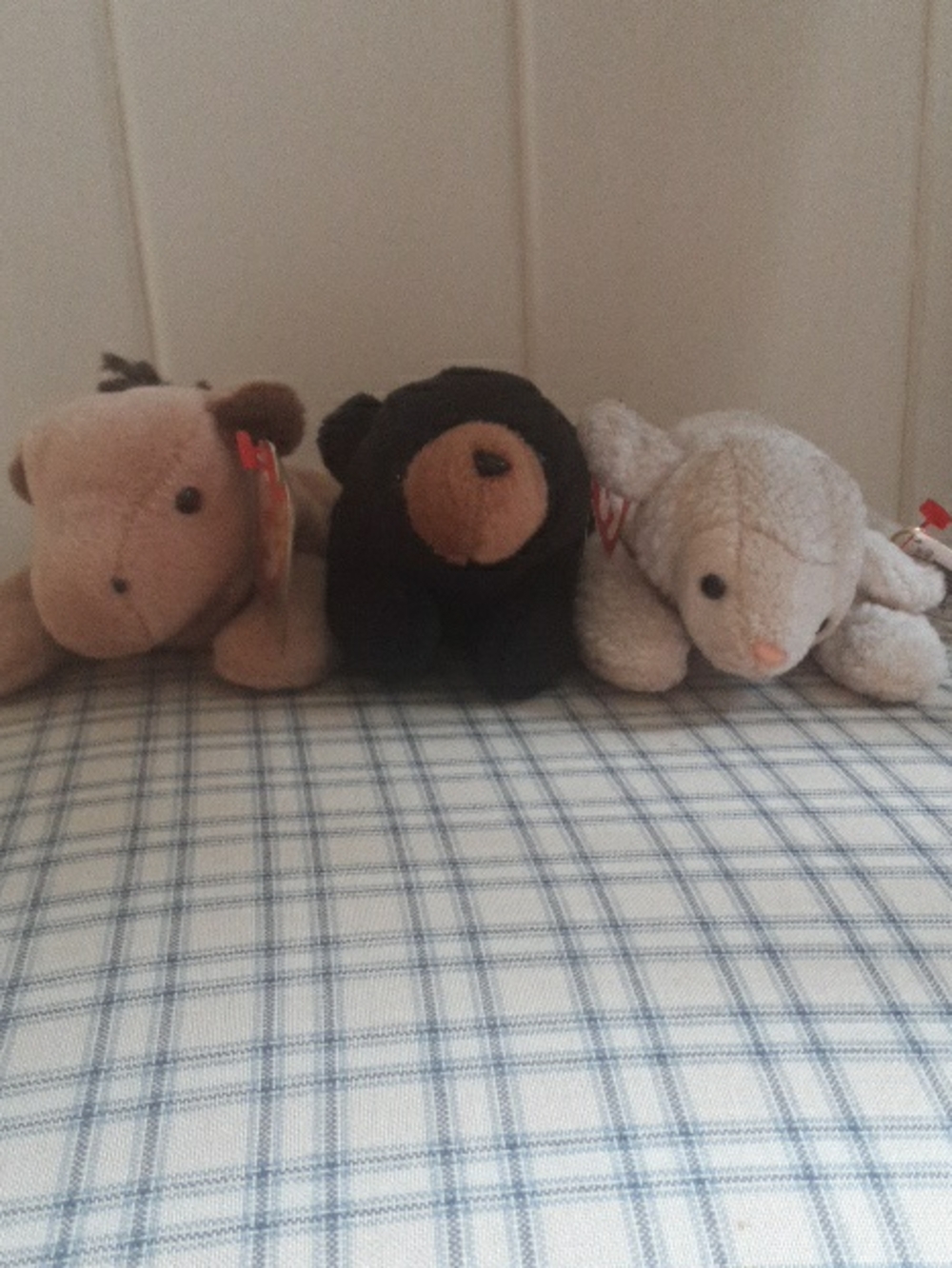3 Beanie Babies